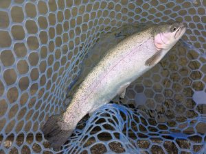 12月3日（水）茅ヶ崎市　スーさん　さん