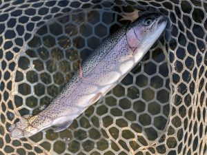 12月10日（水）西東京市　hiroさん