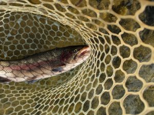 12月15日（月）狭山市　Getyさん