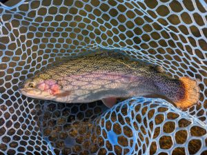 12月17日（水）茅ヶ崎市　スーさん　さん