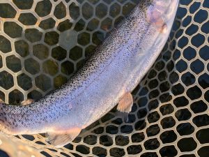 12月19日（金）西東京市　hiroさん