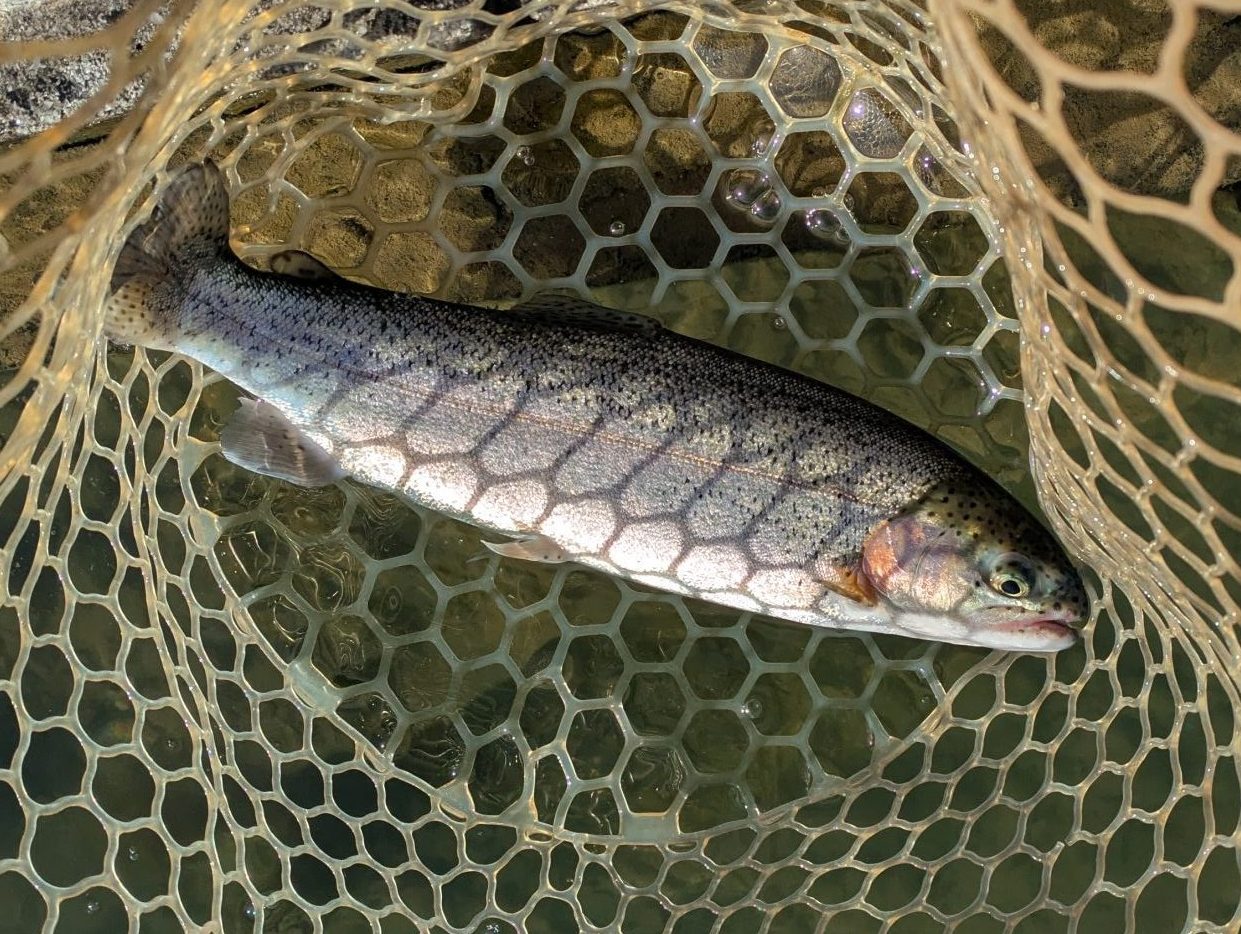 12月23日（火）狭山市　Getyさん