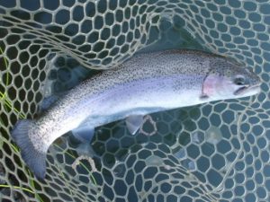 12月15日（月）三鷹市　kazu53さん