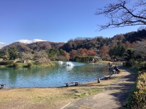 12月6日（土）日記