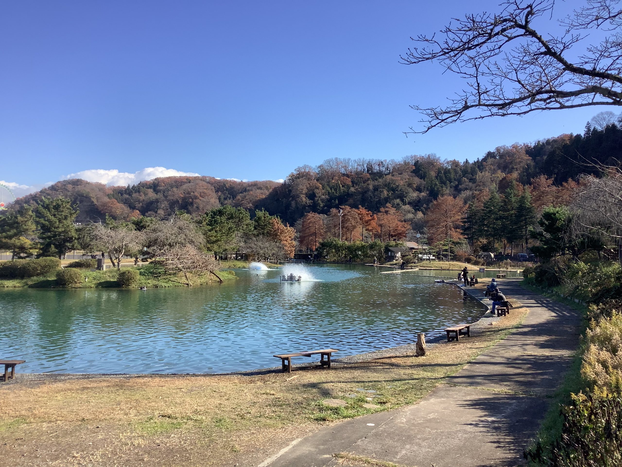 12月6日(土)日記