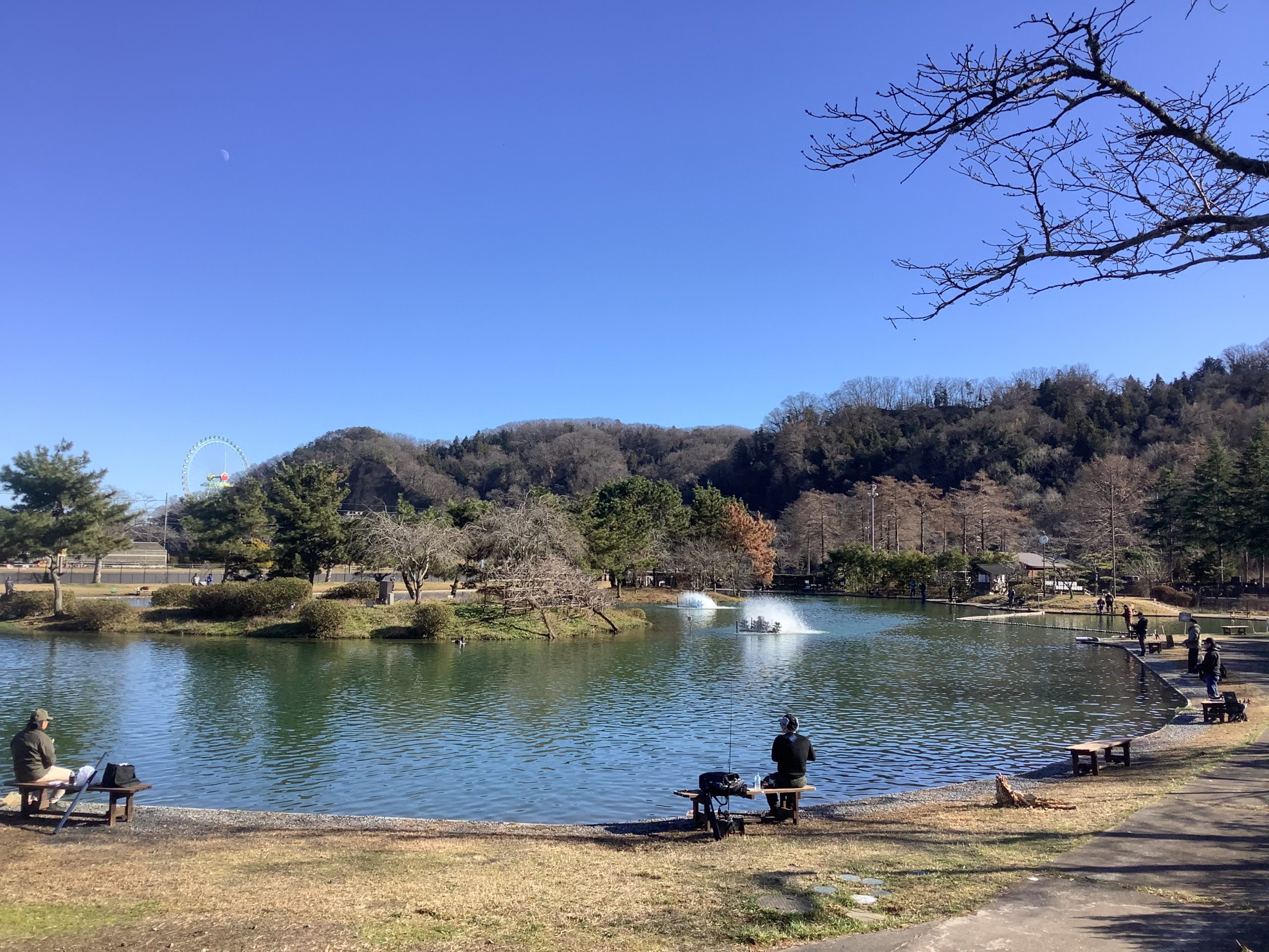 12月28日（日）日記