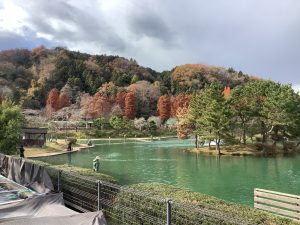 12月5日（金）　日記