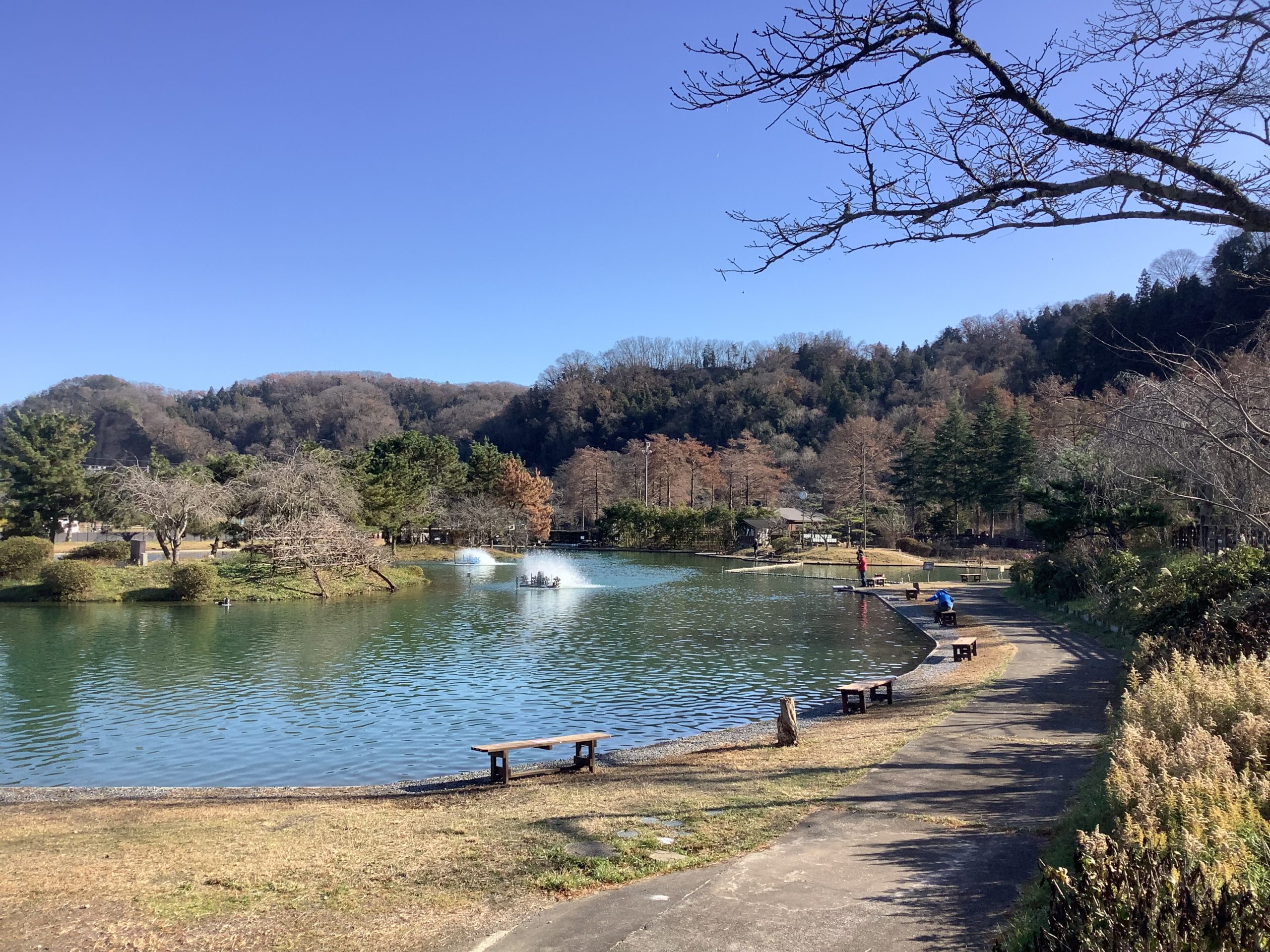 12月16日（火）日記