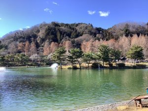 1月3日（土）日記