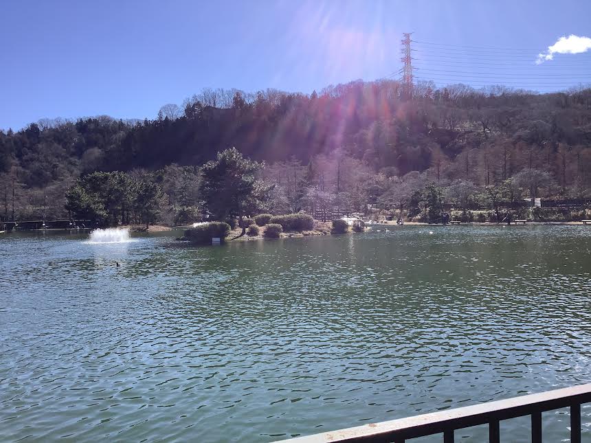 1月23日(金)日記