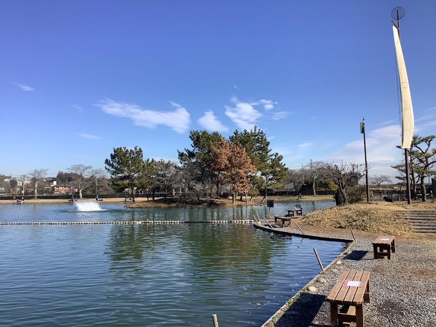 1月5日（月）日記