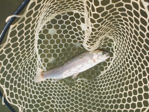 1月4日（日）立川市　たかちゃんさん