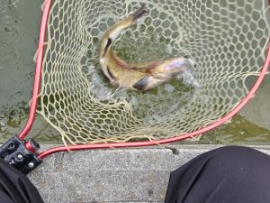 1月7日（水）杉並区　さいとうさん