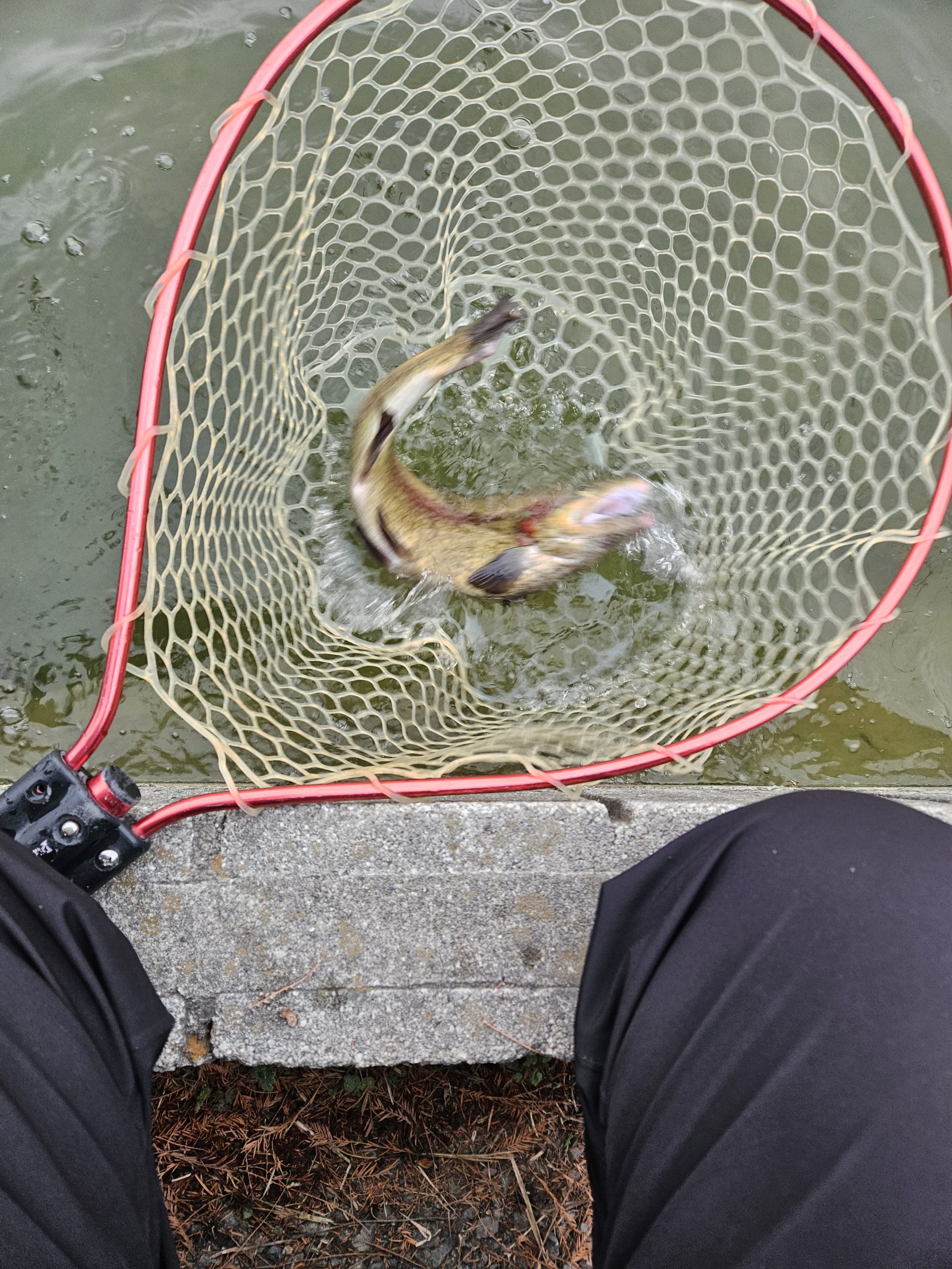 1月7日（水）杉並区　さいとうさん