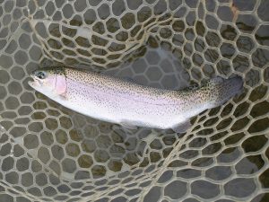 1月７日（水）入間市　寒いの苦手さん