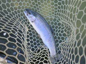 1月9日（金）八王子市　takaさん