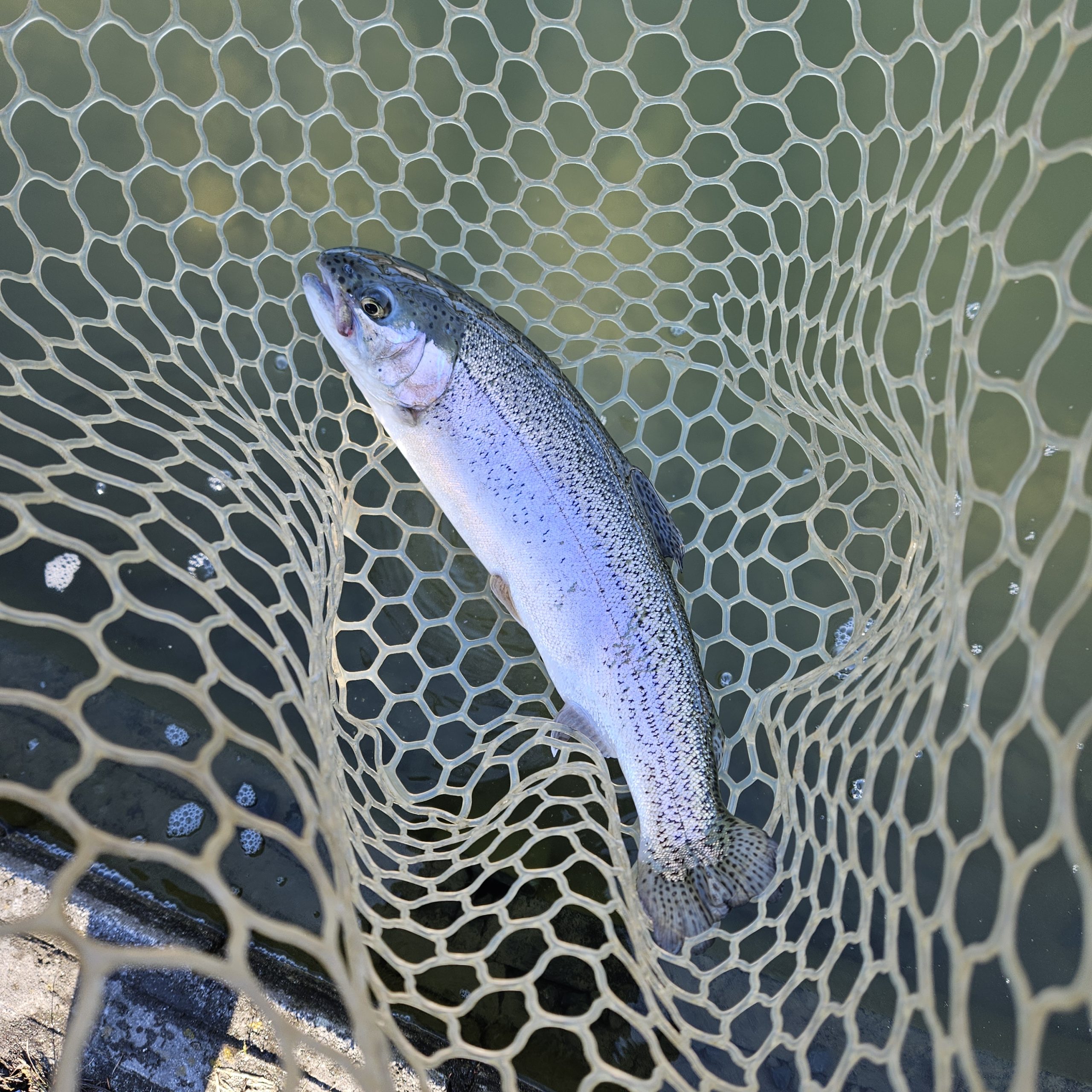 1月9日（金）八王子市　takaさん