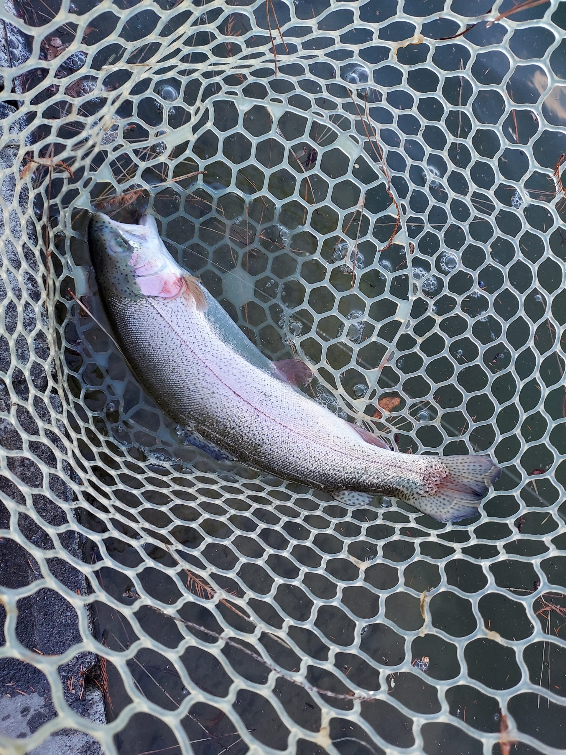 1月11日（日）八王子市　平山さん