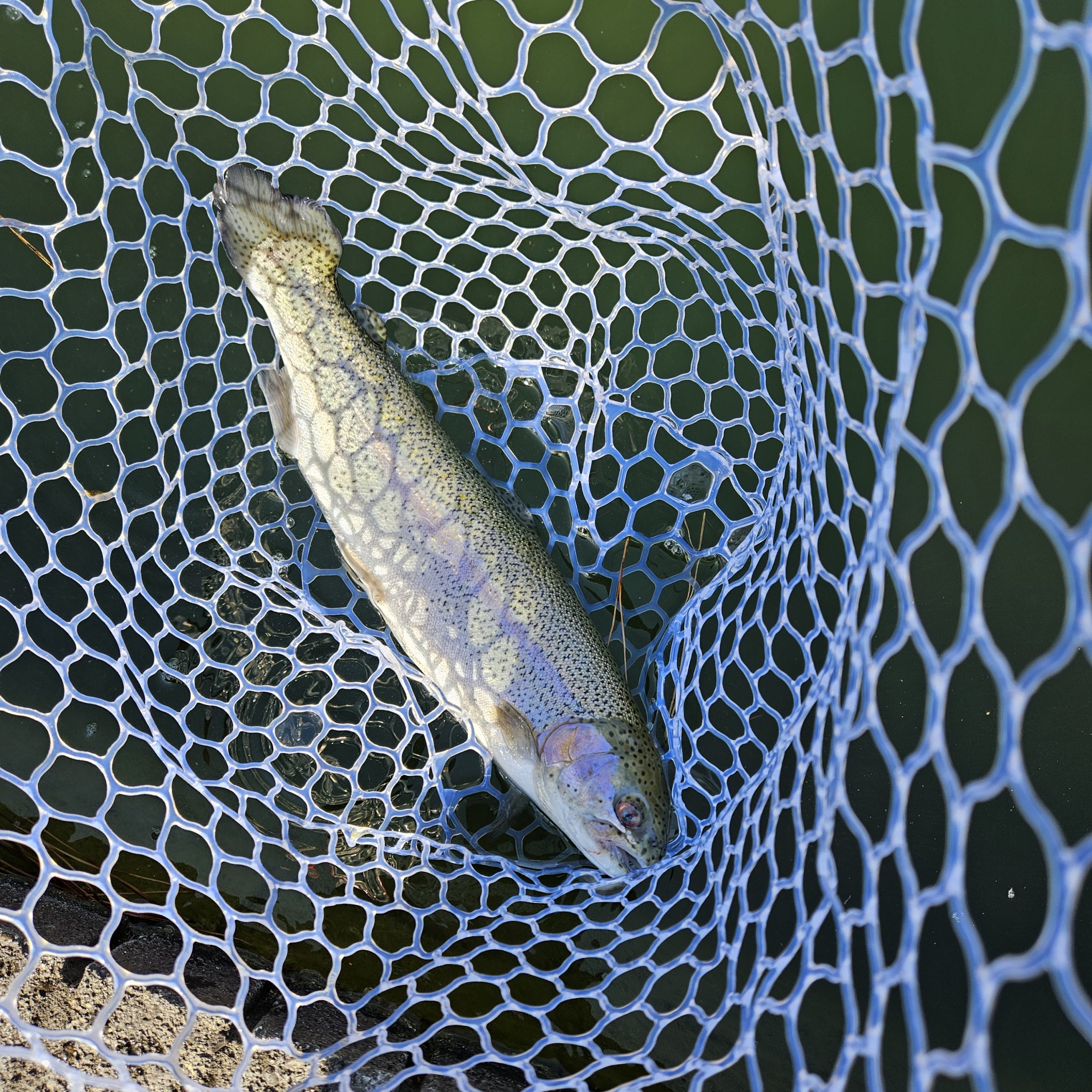 1月16日（金）八王子市　takaさん