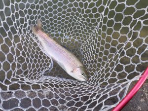 1月18日（金）八王子市　平山さん