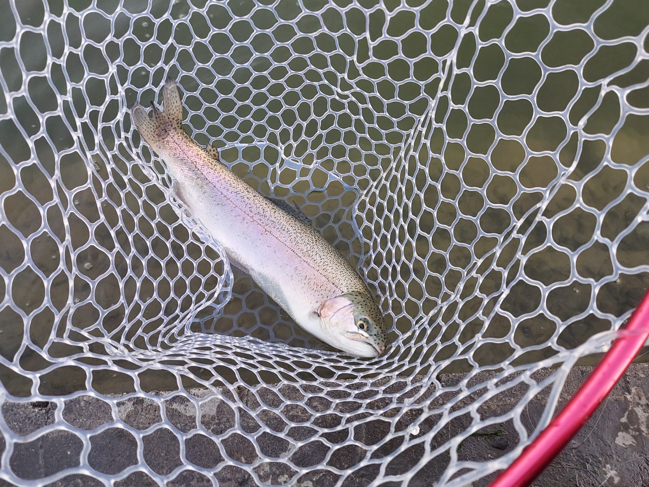 1月18日（金）八王子市　平山さん