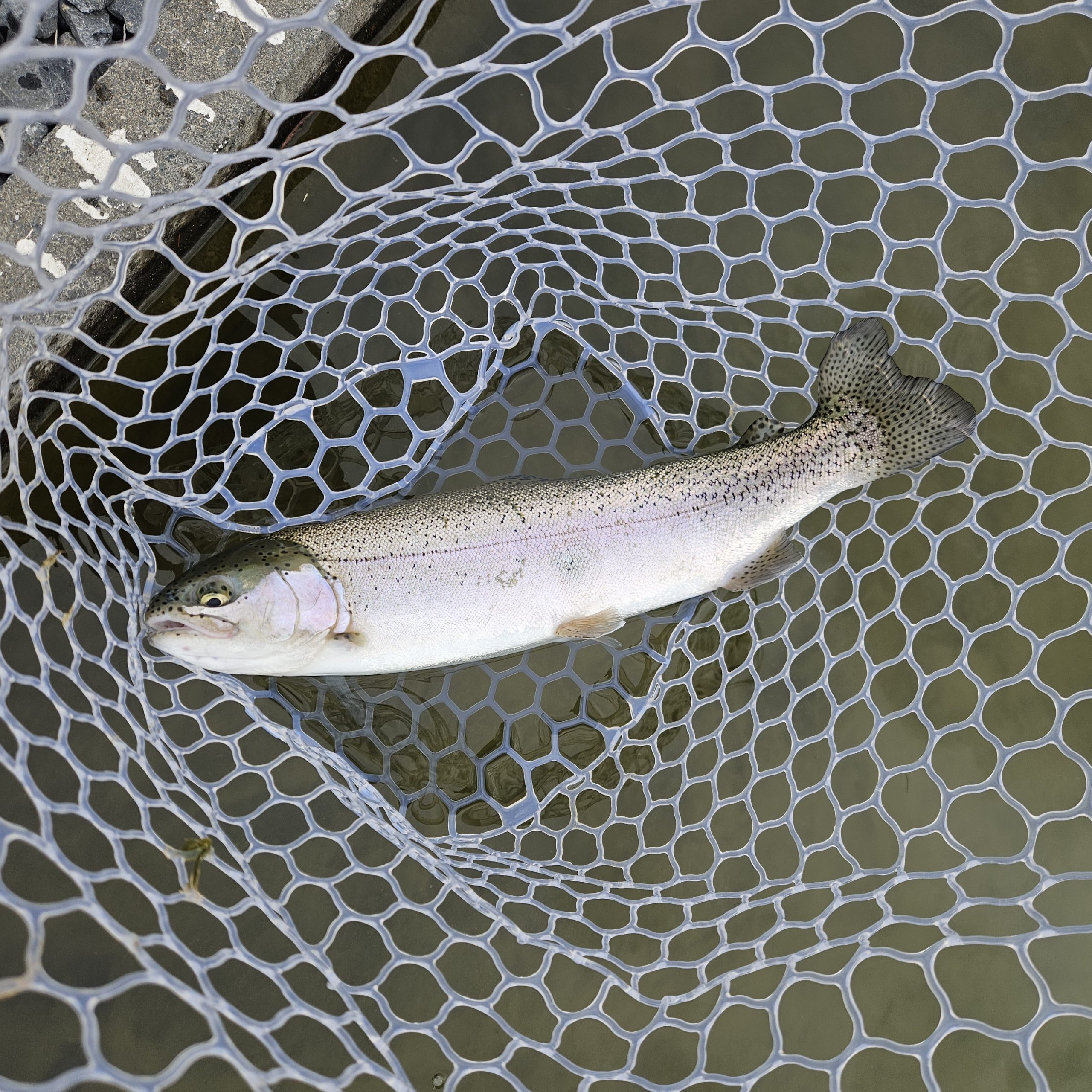 1月20日（火）八王子市　takaさん