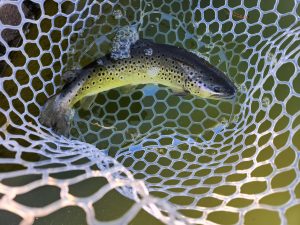 １月23日（金）あきる野市　a…hirano　さん