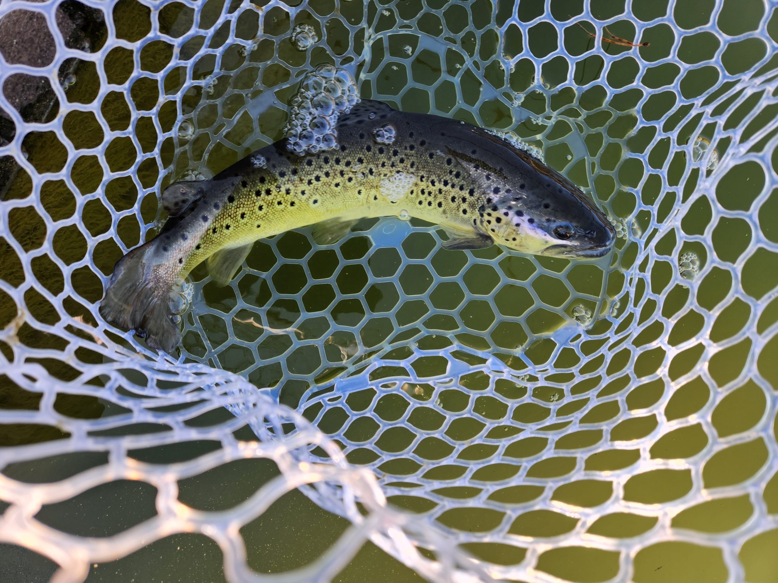 １月23日（金）あきる野市　a…hirano　さん