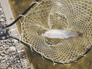 1月25日（日）立川市　たかちゃんさん