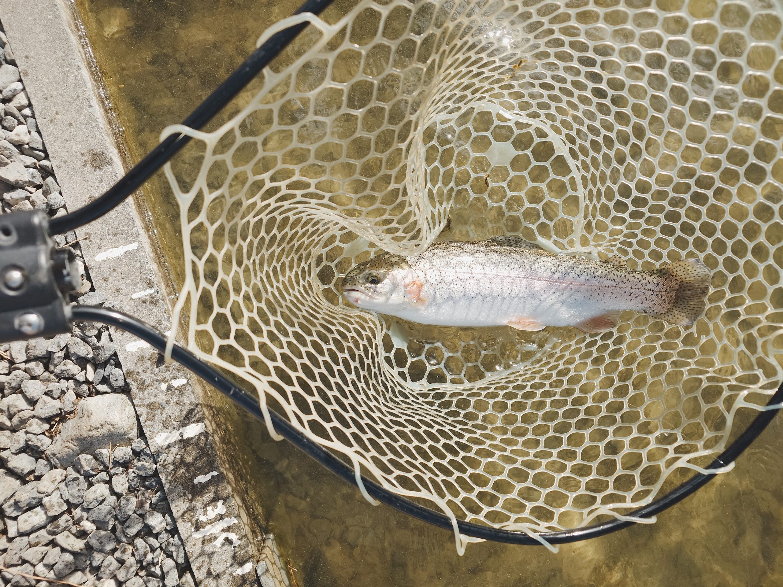 1月25日（日）立川市　たかちゃんさん