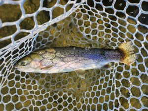 1月30日（金）あきる野市　a…hirano　さん