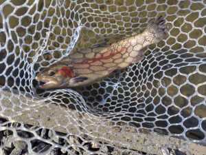 １月27日（火）福生市　ほのぼの　さん