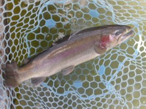 1月25日（日）三鷹市　kazu53さん