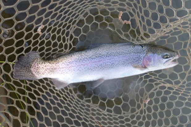 1月5日（月）三鷹市　kazu53　さん