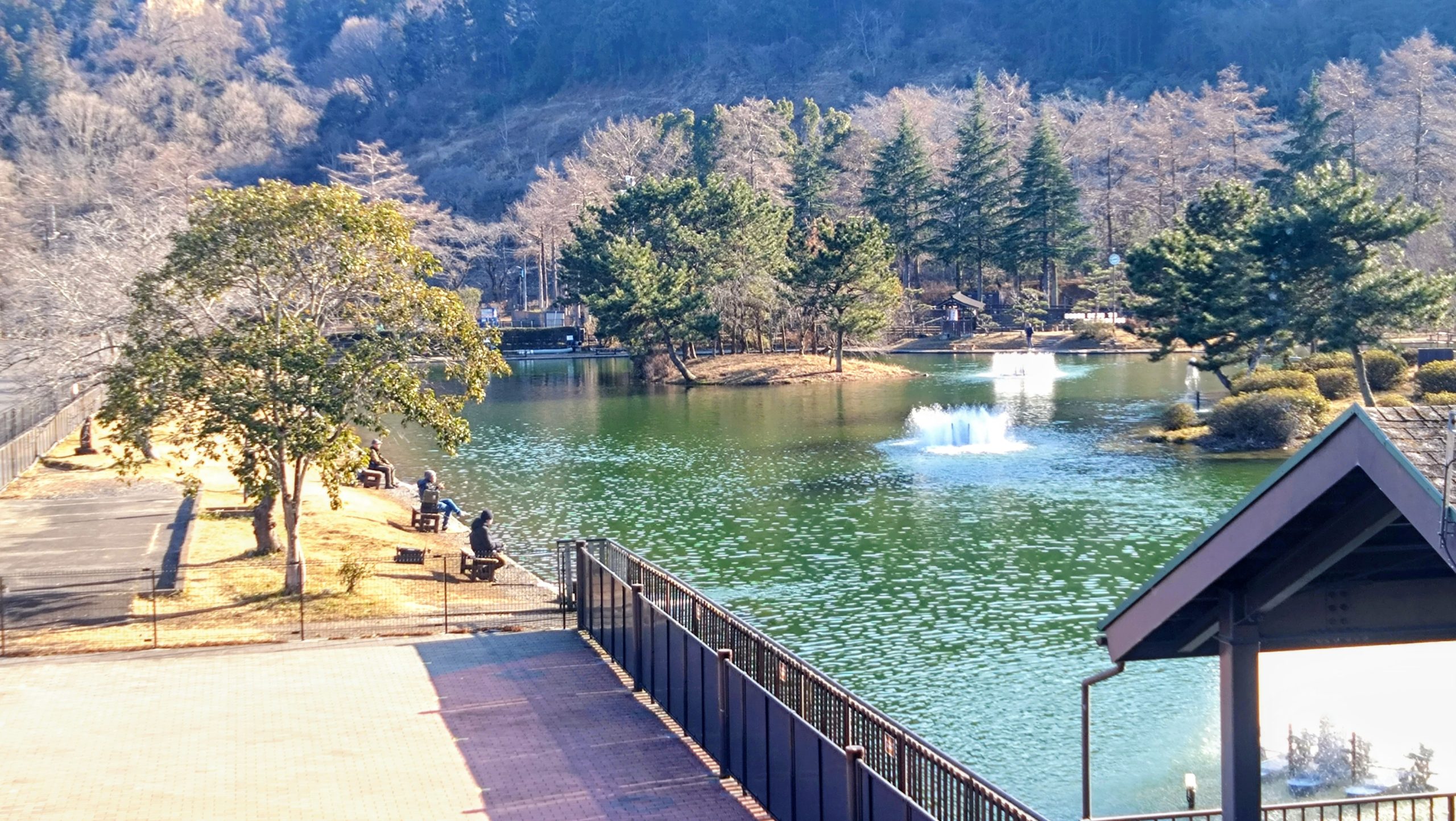 1月27日(火)日記