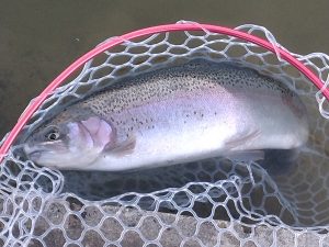 1月24日（土）三鷹市　くにザイルさん