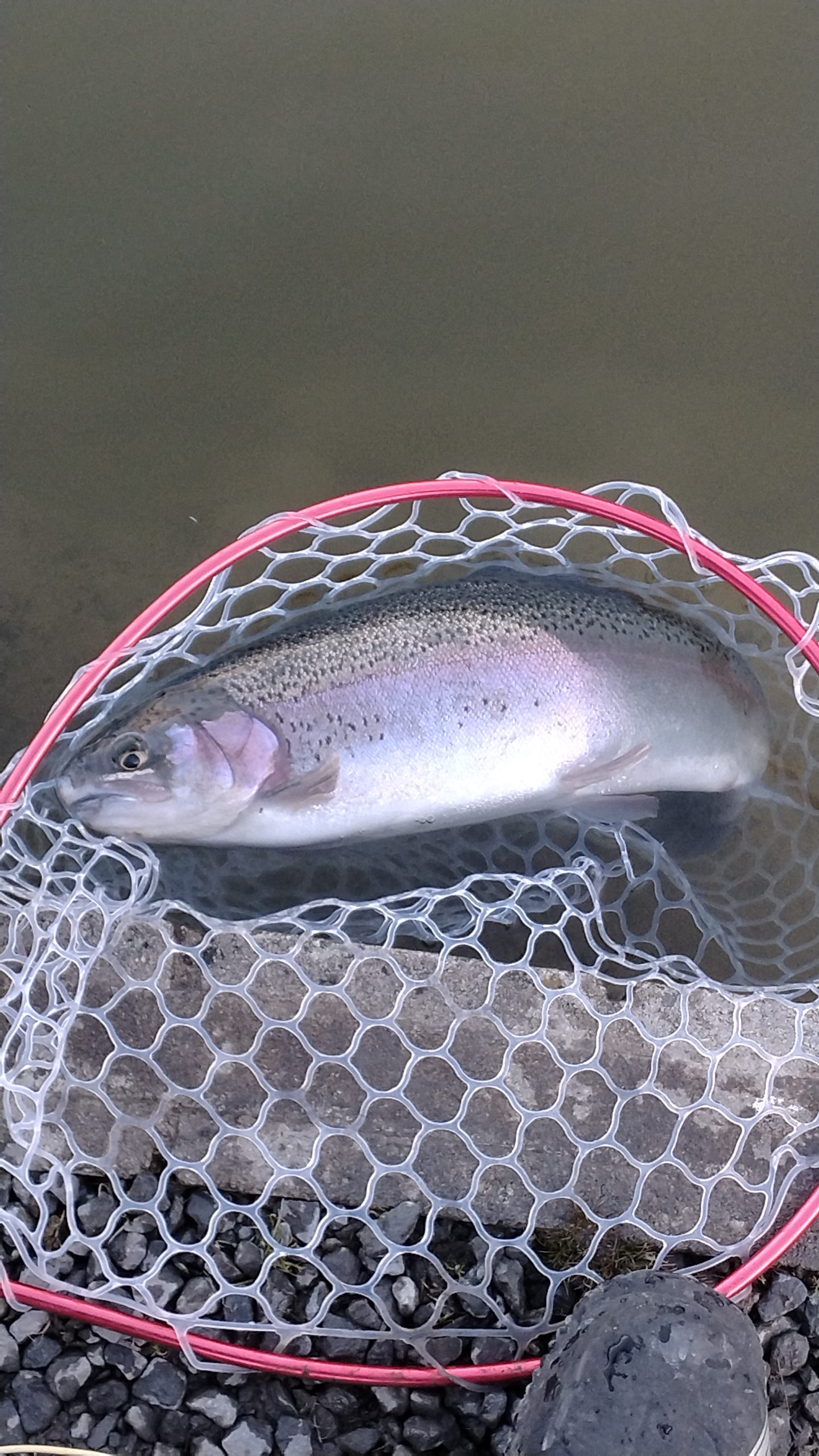 1月24日(土)三鷹市 くにザイルさん