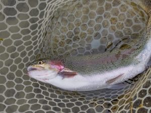 1月7日（水）所沢市　コロンレインボーさん