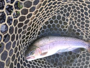 1月14日（水）所沢市　コロンレインボーさん