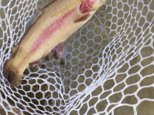 1月20日（火）所沢市　コロンレインボーさん