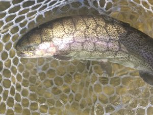 １月27日（火）所沢市　コロンレインボー　さん