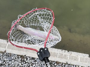 1月26日（月）所沢市　マサ内藤さん