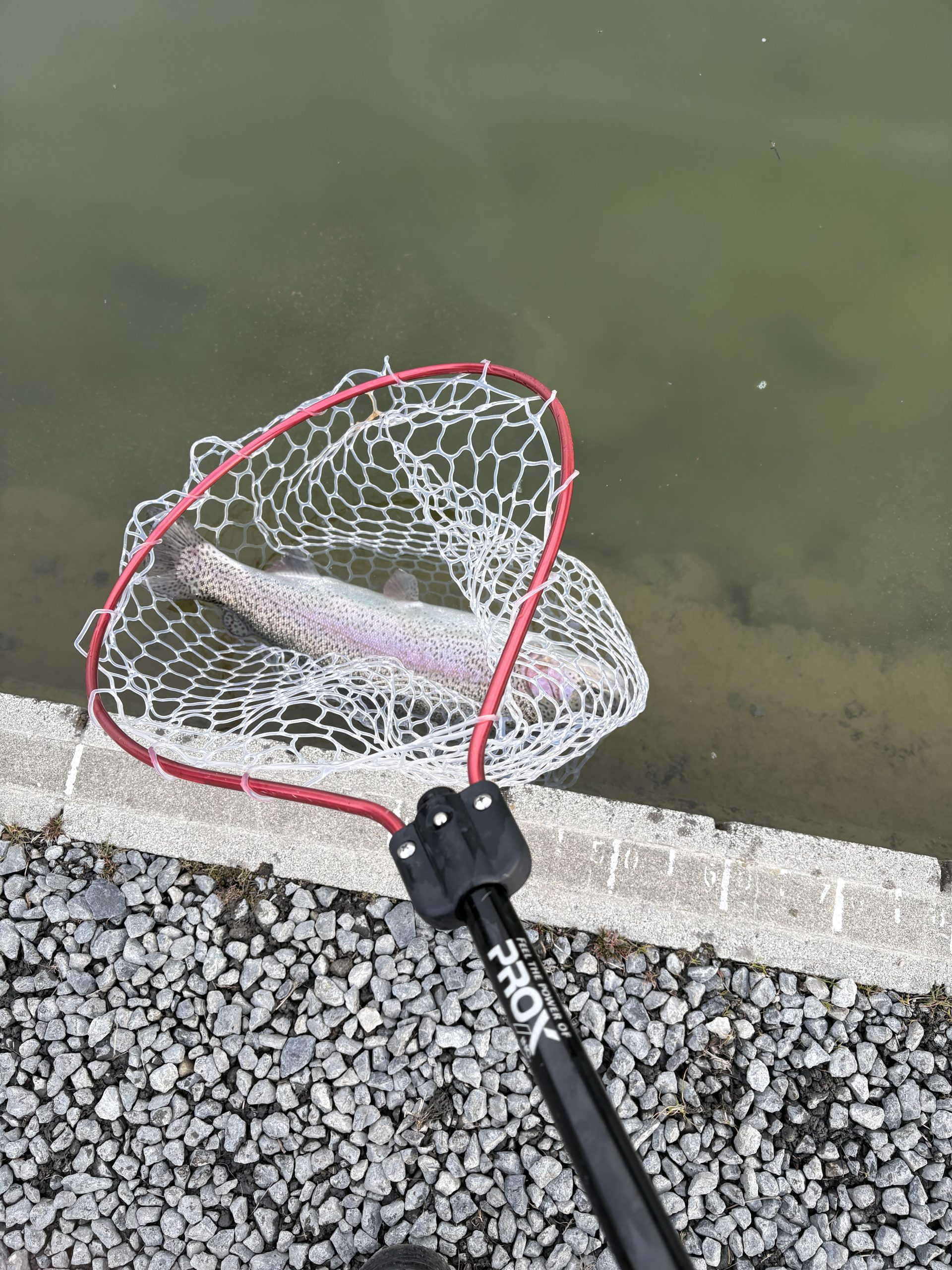 1月26日(月) 所沢市 マサ内藤さん