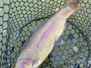 １月１８日（日）国立市　K.Tさん