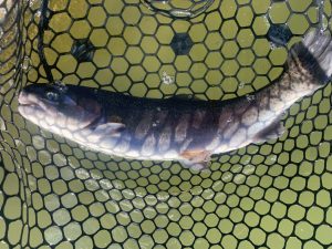 1月23日（日）国立市東　K.Tさん