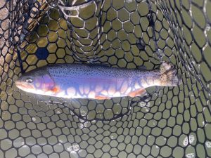 1月25日（日）国立市　K.Tさん