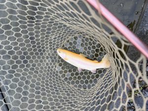 1月7日（水）　八王子市　HGさん