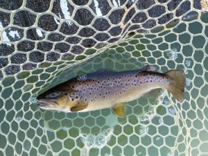 12月31日(水)　八王子市　M城さん