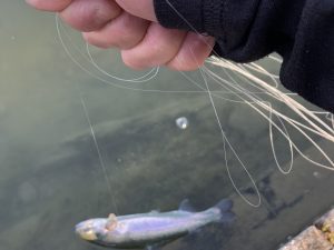 12月31日(水)　羽村市　うにねこさん