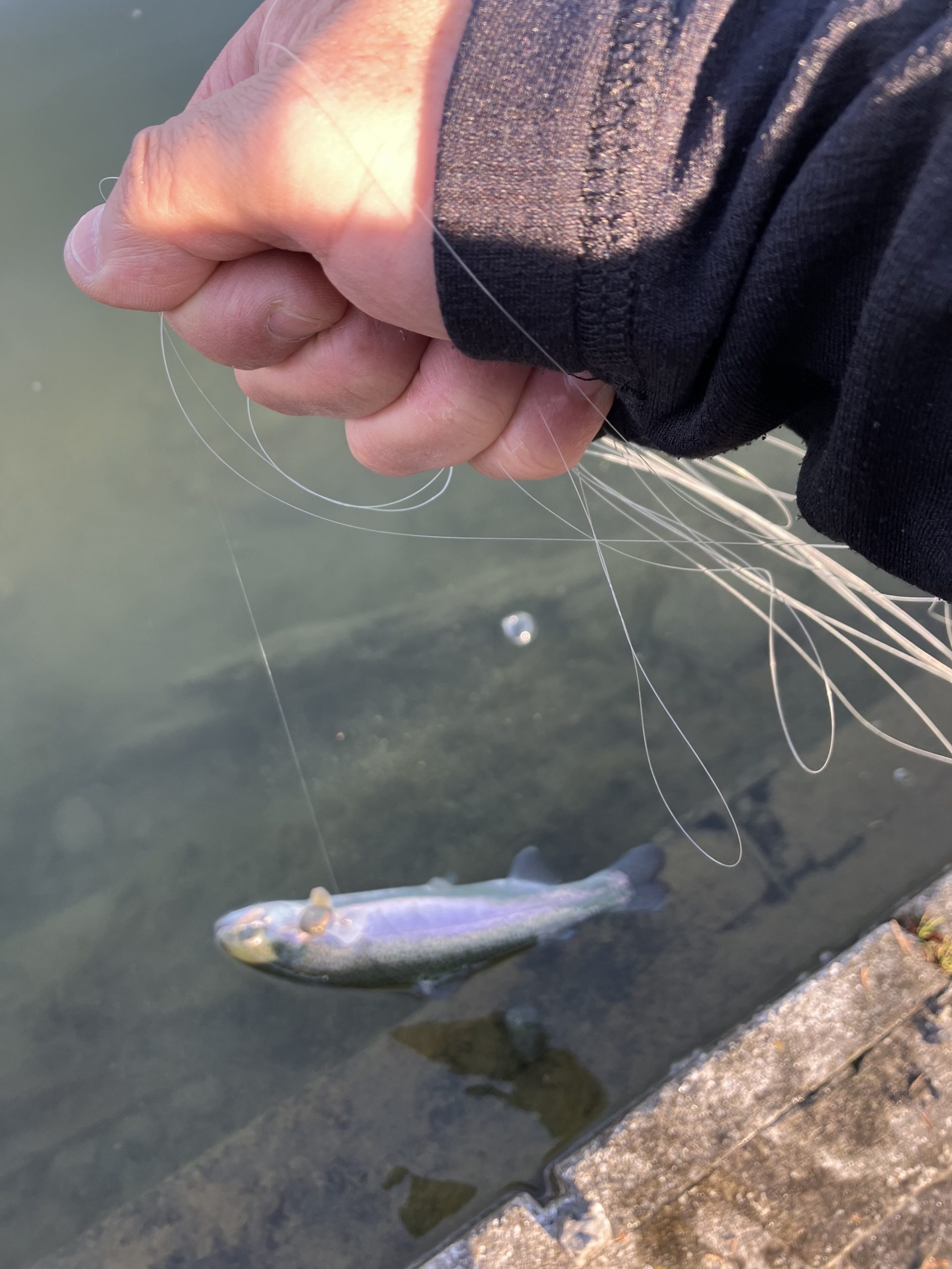 12月31日(水) 羽村市 うにねこさん